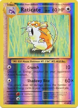 Raticate Reverse Holo