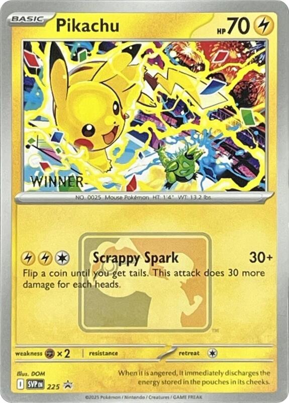 Pikachu World Championship 2025 Winner