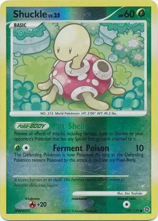 Shuckle Reverse Holo