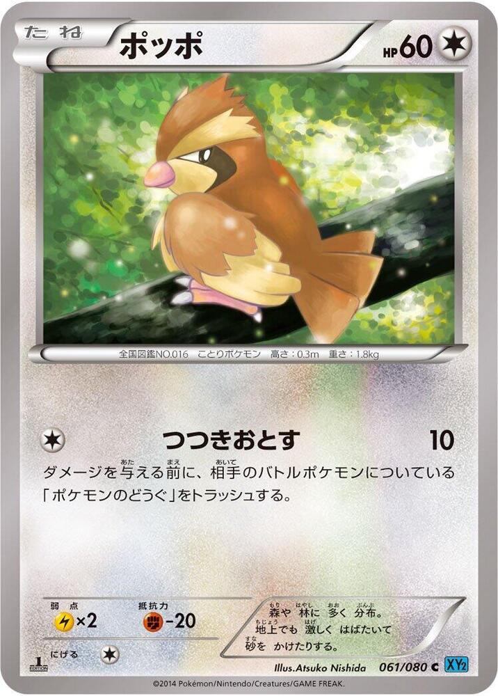 Pidgey 1st Edition