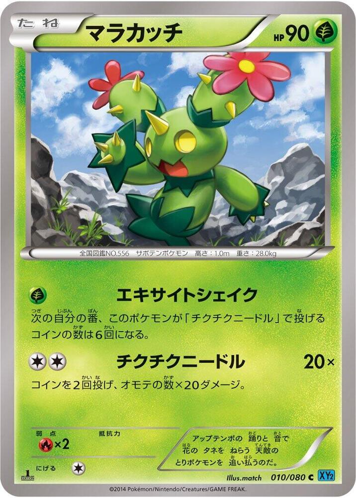 Maractus Unlimited